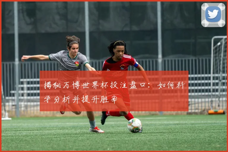 揭秘万博世界杯投注盘口:如何科学分析并提升胜率
