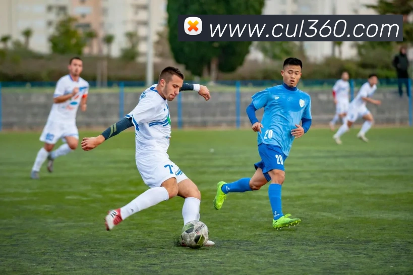 米兰app体育安全登录入口平台生态图